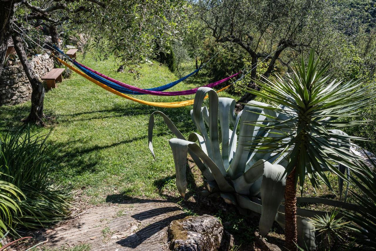 La Fattoria Di Nonna Eugenia Panzió Lerici Kültér fotó