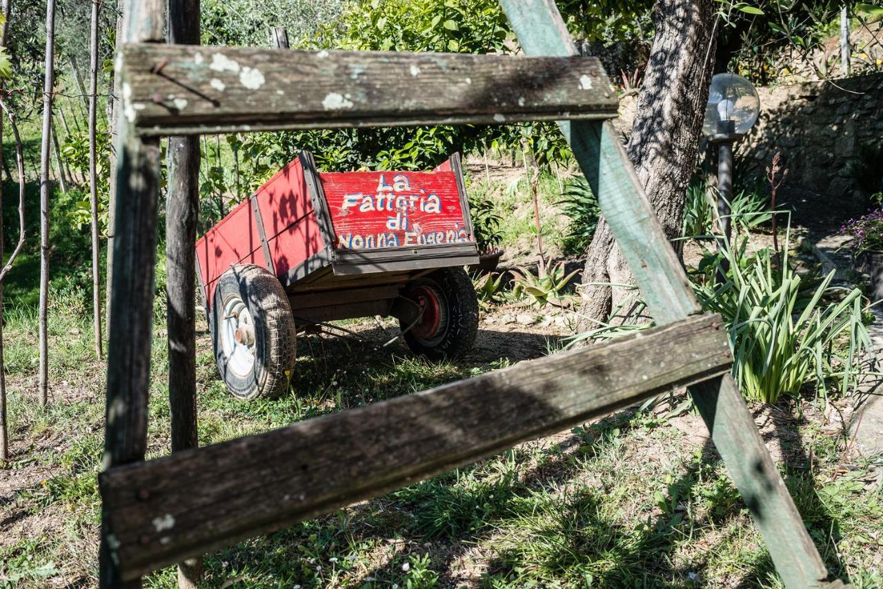 La Fattoria Di Nonna Eugenia Panzió Lerici Kültér fotó
