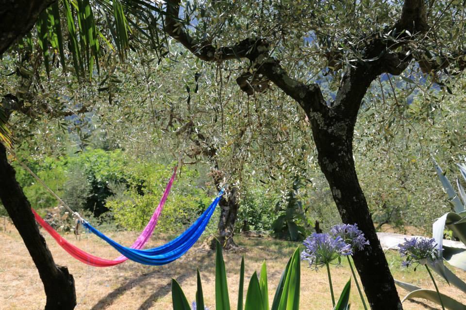 La Fattoria Di Nonna Eugenia Panzió Lerici Kültér fotó
