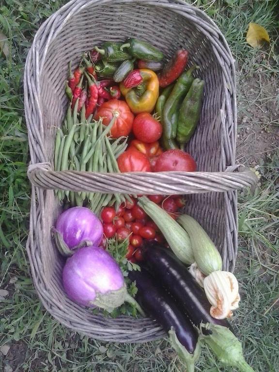 La Fattoria Di Nonna Eugenia Panzió Lerici Kültér fotó