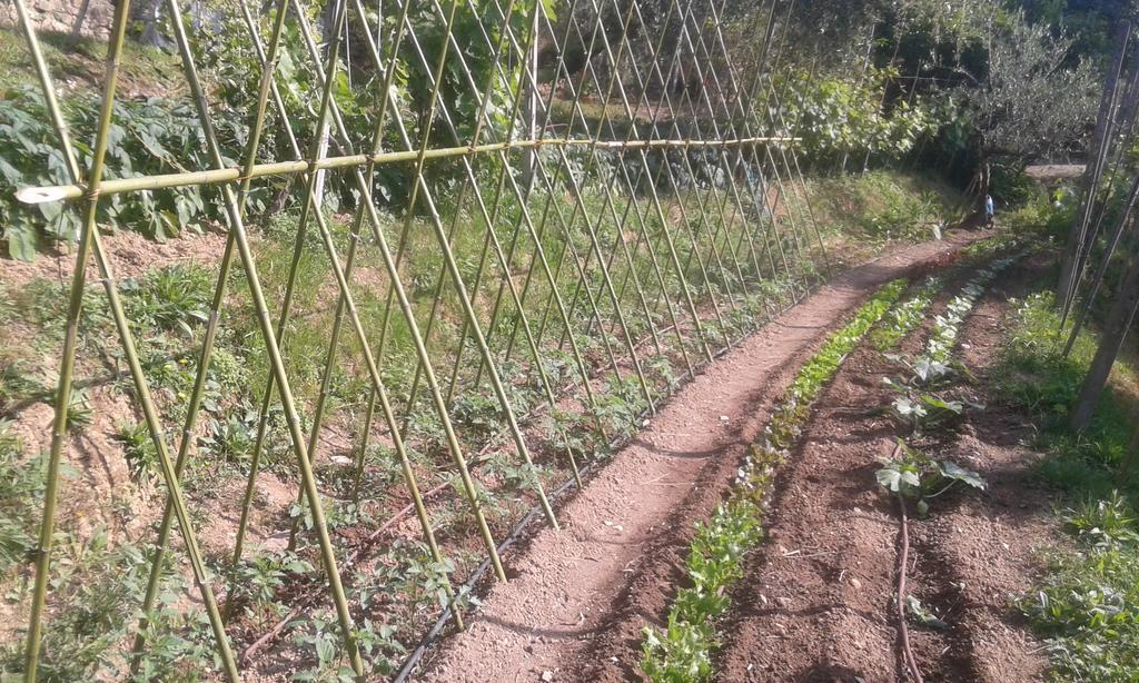 La Fattoria Di Nonna Eugenia Panzió Lerici Kültér fotó
